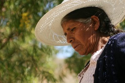 anzaldo, picture 2: oh dear. click on the image to go to the next picture