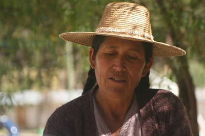 anzaldo, picture 6: woman. click on the image to go to the next picture
