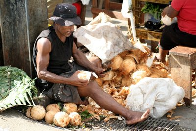 august, picture 5: whittling coconuts. click on the image to go to the next picture