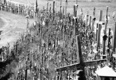 baltics, picture 3: no longer/forever. click on the image to go to the next picture