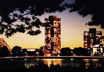 boston, picture 7: through the trees. click on the image to go to the next picture