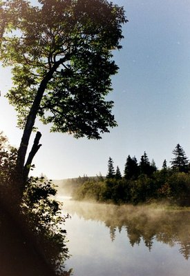 canada, picture 17: river denys. click on the image to go to the next picture