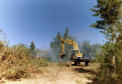 canada, picture 2: there comes a point in a man's life when he just has to hire a bulldozer and destroy shit. click on the image to go to the next picture
