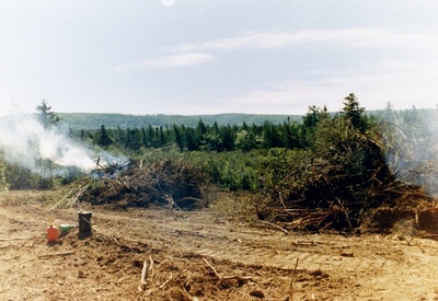 canada, picture 3: and then burn the wreckage. click on the image to go to the next picture