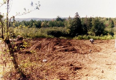 canada, picture 8: oli is measuring exactly where with his very precise tools. click on the image to go to the next picture