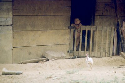 guatemala, picture 34: the philosopher and the chicken, san jil. this is the last picture in this set so click here to return home
