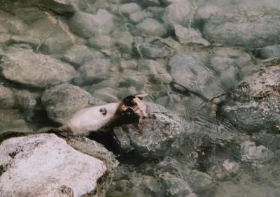 haiti, picture 4: nearly was. click on the image to go to the next picture