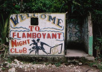 haiti, picture 9: flamboyant. click on the image to go to the next picture