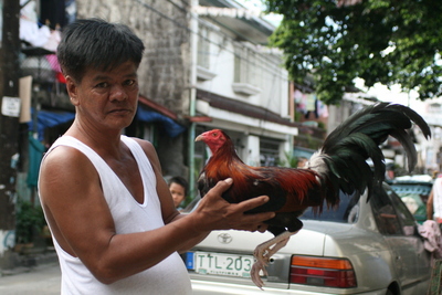 manila, picture 11: i didn't mean chickenfucker as a term of abuse. click on the image to go to the next picture