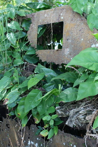 october, picture 11: who wins in the end?. click on the image to go to the next picture