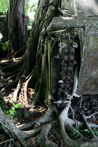 october, picture 12: speed up/slow down. click on the image to go to the next picture