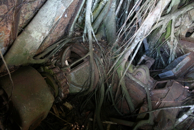 october, picture 13: reclaim. click on the image to go to the next picture