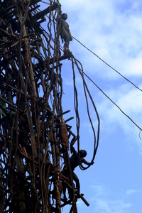 pentecost, picture 13: feeling it. click on the image to go to the next picture