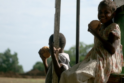 pentecost, picture 21: coconuts. click on the image to go to the next picture