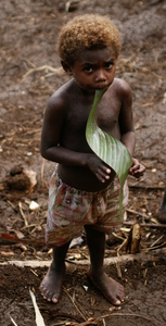 pentecost, picture 3: comfort leaf. click on the image to go to the next picture