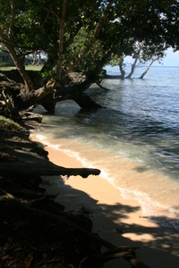 png, picture 3: madang. click on the image to go to the next picture