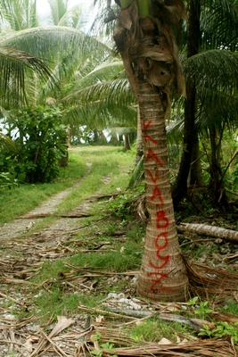tuvalu, picture 18: kavaboyz. click on the image to go to the next picture