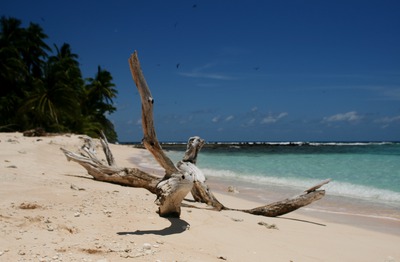 tuvalu, picture 3: flotsam. click on the image to go to the next picture