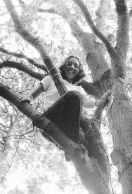 wales, picture 13: treetop. click on the image to go to the next picture