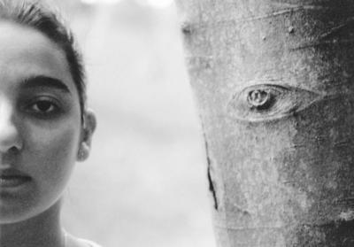 wales, picture 14: left/right. click on the image to go to the next picture