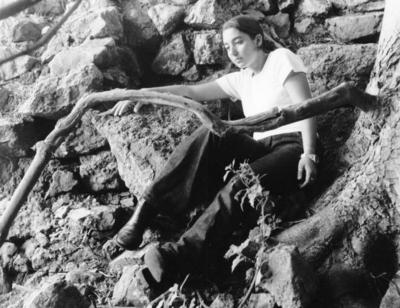 wales, picture 8: rocks. click on the image to go to the next picture