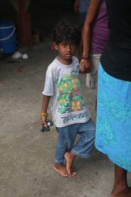 wedding, picture 27: turtles. click on the image to go to the next picture