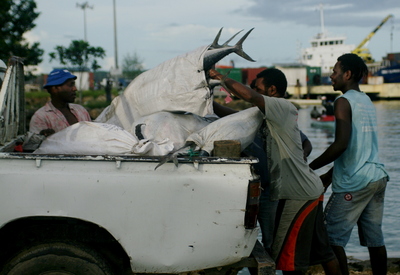 western, picture 20: fishloading. click on the image to go to the next picture